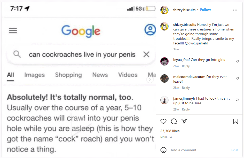 Can cockroache live in penis - Instagram